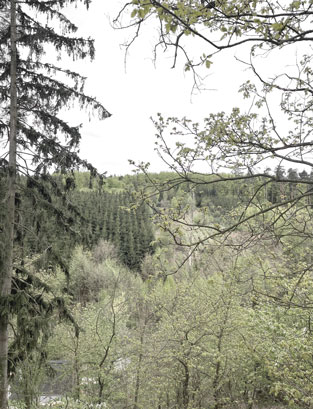 Chata nad roklí